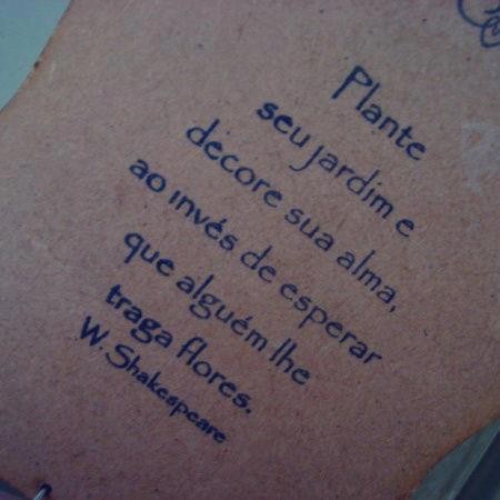 Plante seu jardim e decore sua alma...